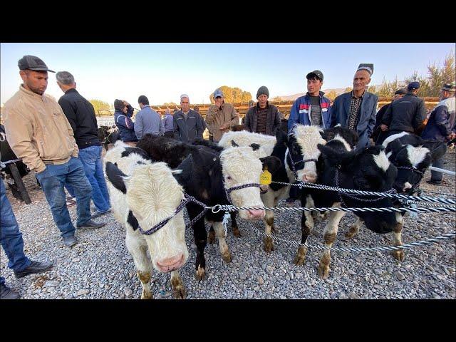 Поп, Ґурумсарой Мол Бозори. Ґунажинлар ва Новвослар Нархлари.  24-fevral 2022-yil.