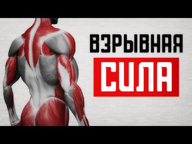 Взрывная сила! Будь как Майк Тайсон!