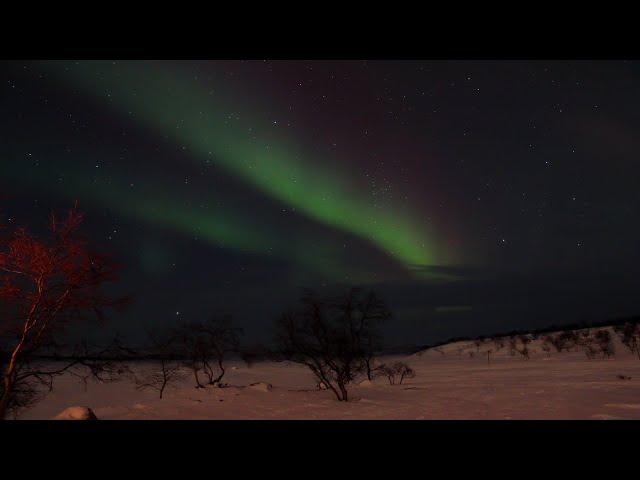 Auroras at Kilpisjärvi, Finland. 21.2.2022