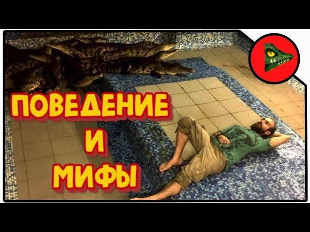 ПОВЕДЕНИЕ КРОКОДИЛОВ И МИФЫ О НИХ! Лекция для российского биологического общества!