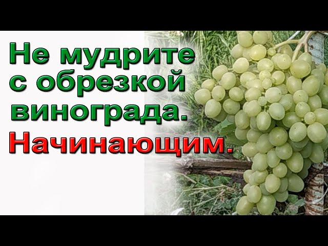 Как обрезать виноград осенью.  Подробно начинающим.