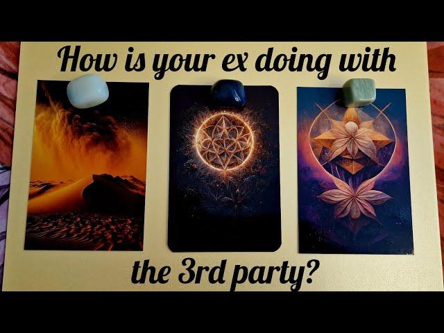  How is your ex doing with the 3rd party?  pick a card tarot                     timeless ️