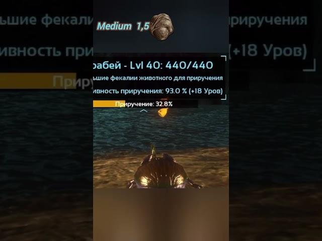 Скарабей Приручение #arktaming