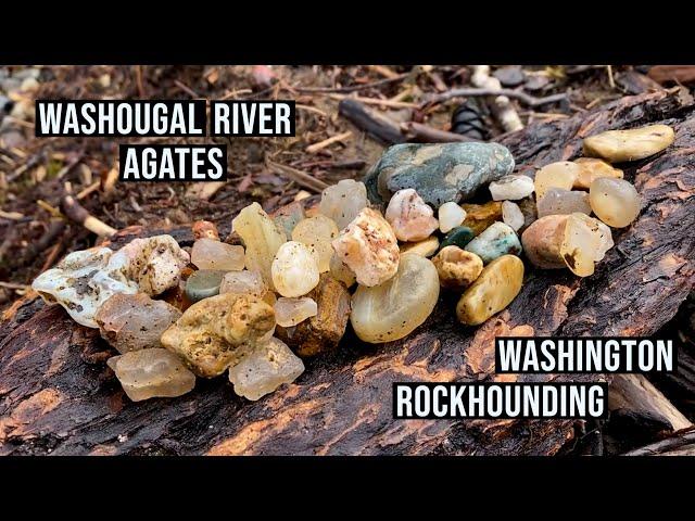 Washington Rockhounding at Washougal River