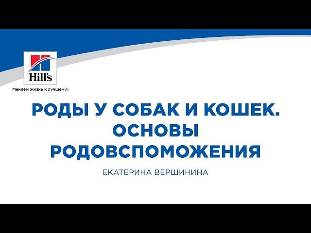 Вебинар на тему: «Роды у собак и кошек. Основы родовспоможения». Лектор – Екатерина Вершинина