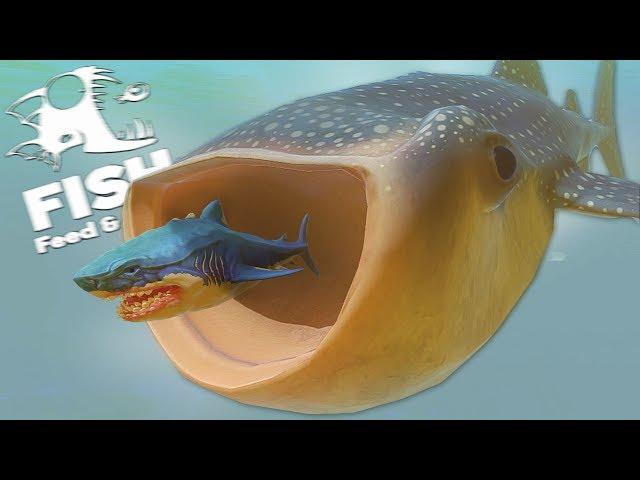 МЕСТЬ КИТОВОЙ АКУЛЫ! МЕГАЛОДОН В ШОКЕ! | Feed and Grow Fish