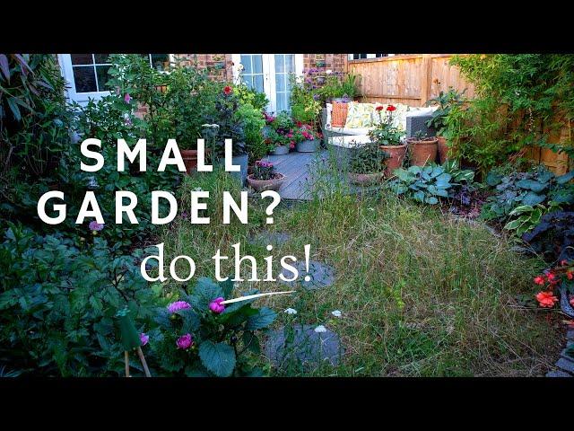 9 Tips to Thrive in a Small Rented Garden (5 is a must do!) 🫶