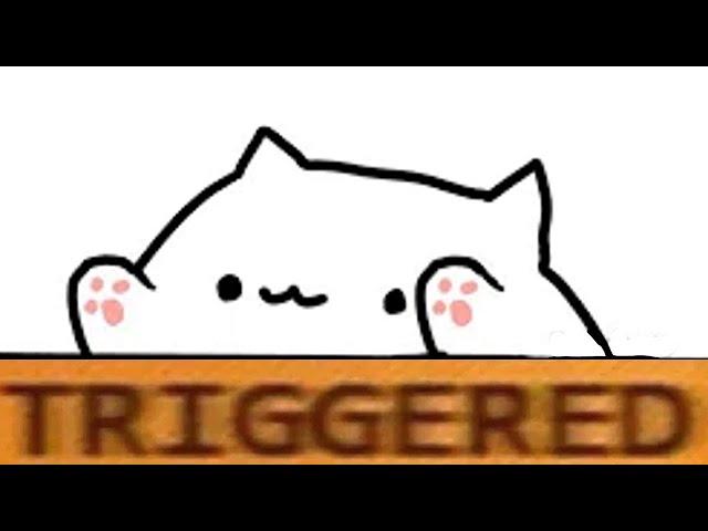 bongo cats memes