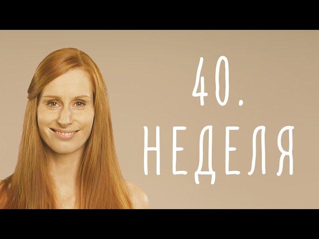 40. неделя беременности