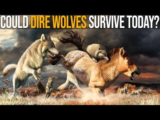 Could Dire Wolves Survive Nowadays?