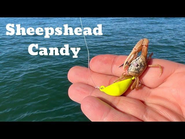 SHEEPSHEAD Fishing At The CHARLESTON JETTIES - Bottom Sweeper Jigs