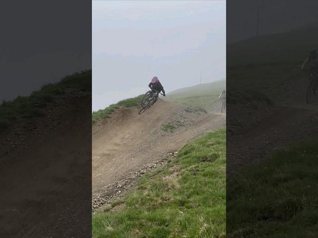 In the fog ️