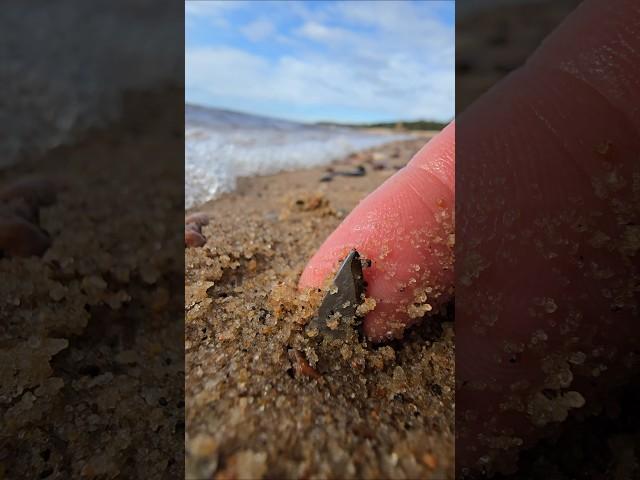 right on the beach