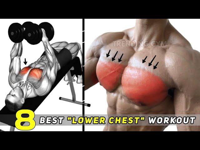 Lower Chest Workout Routine - 8 Best Chest Exercises