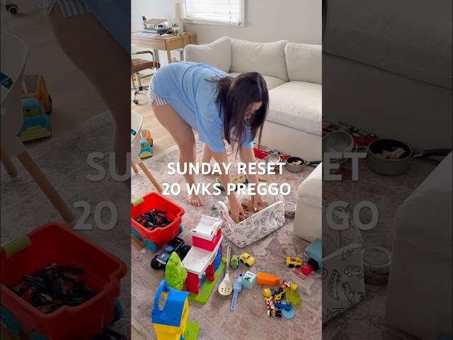 the extent of my Sunday reset  #cleaning #cleanwithme #vlog #mom #pregnant #toddlermom #vlogs