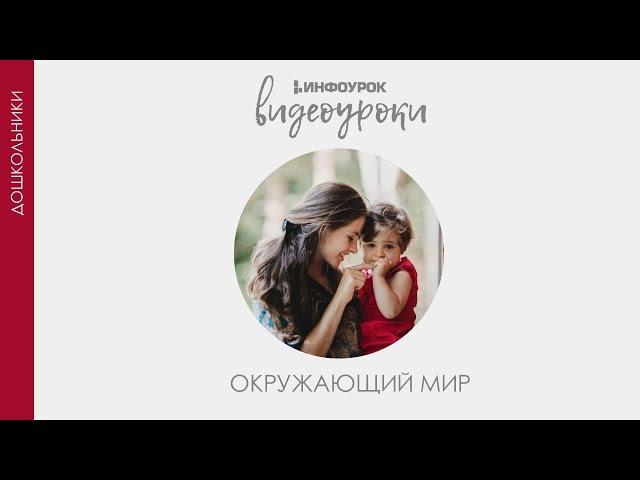 Электроприборы | Дошкольники | Окружающий мир #46 | Инфоурок