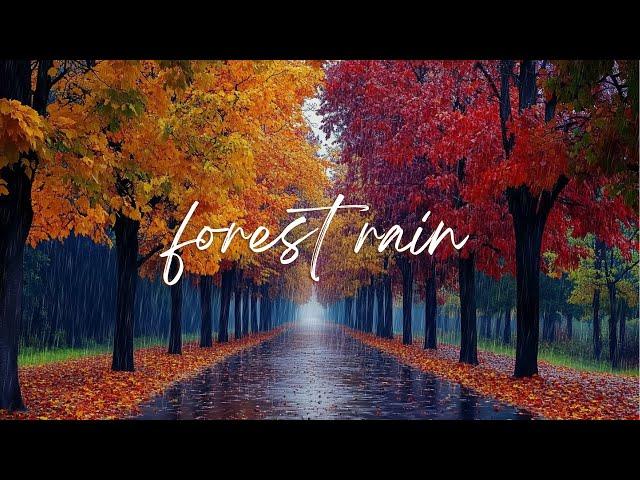  Relaxation in the autumn forest  Calming rain noise for sleep, relaxation or meditation 