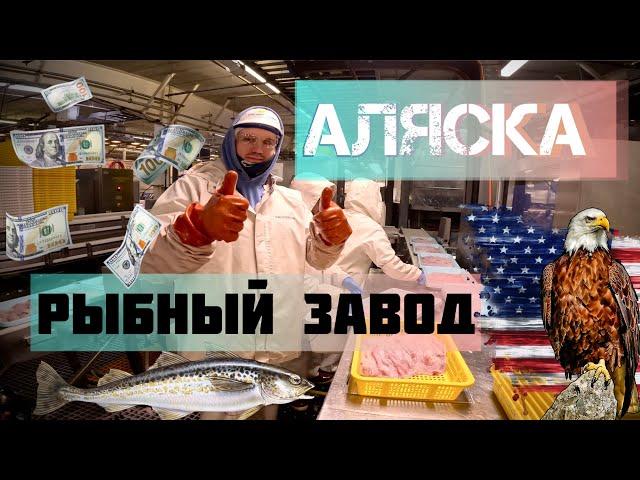 Работа на рыбном заводе на Аляске  | Остров Датч-Харбор