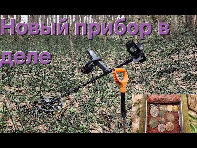 Пополняю коллекцию монет с металлоискателем Minelab Equinox 900