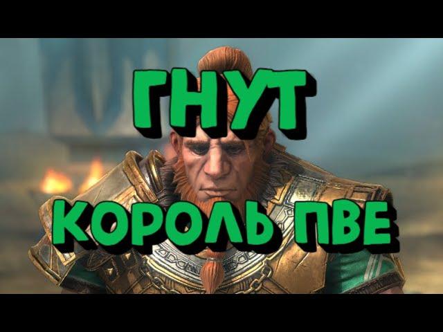 ГНУТ КОРОЛЬ ПВЕ КОНТЕНТА. КАК ОДЕТЬ ГНУТА? Raid Shadow Legends