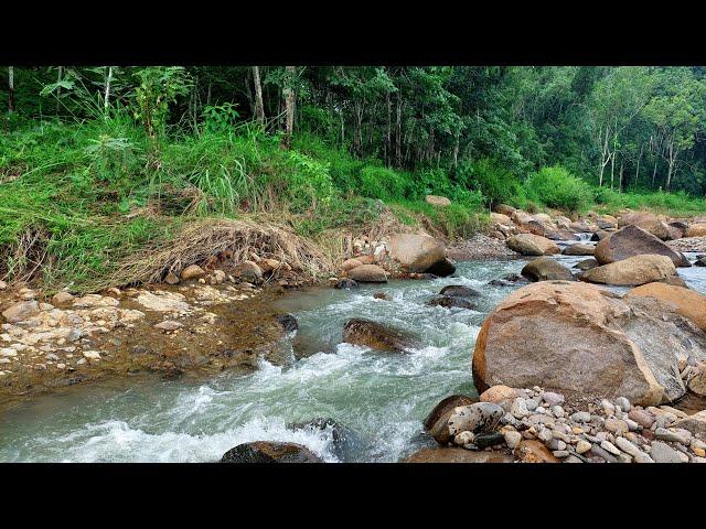 Swift River and Serene Stream: Relaxing River Sounds for Sleep, Work, focus, relax, meditation