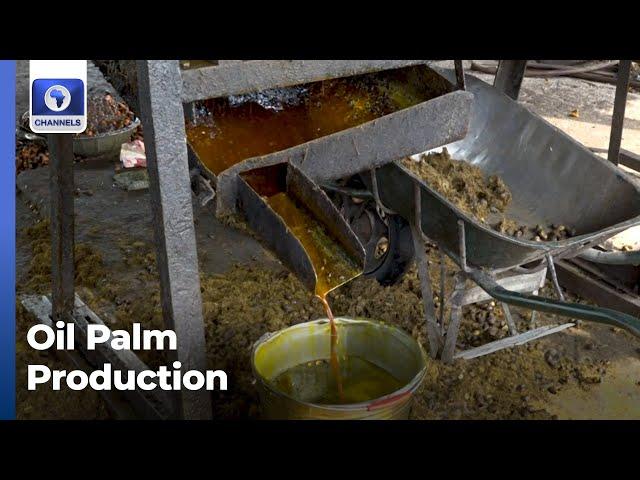 Experts Aim At Increased Yield In Oil Palm Production With Local Equipment