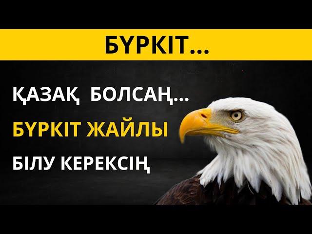 Бүркіт – мықты және шапшаң аңшы құс  Жануарлар туралы қызықты деректер.