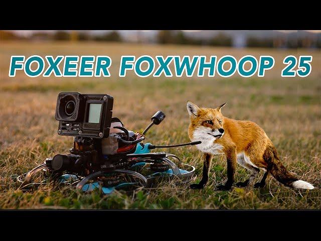 Foxeer Foxwhoop 25 - Unboxing & First Look! (Is it good!?)