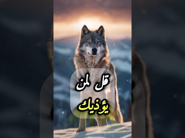 حكم وأقوال ملهمه عن واقع الحياة #حياة#shorts#حكم#أقوال#إلهام#تحفيز#كلام_من_ذهب#نصائح_حياتية