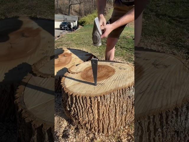 $100 Splitting Wedge 🪓 🪵 #firewood #axe