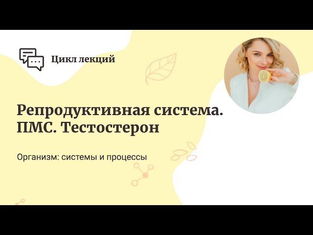 Репродуктивная система. ПМС. Тестостерон.