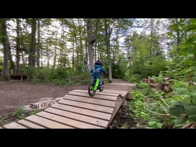 2 year old Kashius working on bike skills @kashius.alexander