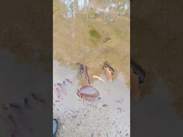#music https://youtu.be/gPg71shpGco?si=GBQxy0VDds47ppxo April 10, 17:40  ½°¹²'44.6"N, 102°18'36.4"E