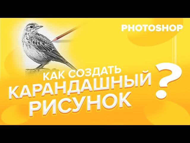 Как создать КАРАНДАШНЫЙ РИСУНОК в Фотошопе?️