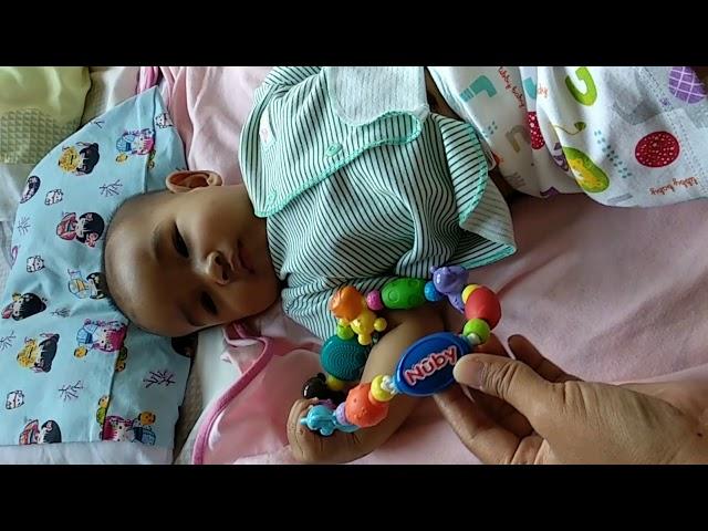 Review Teether Nuby Safari Friends