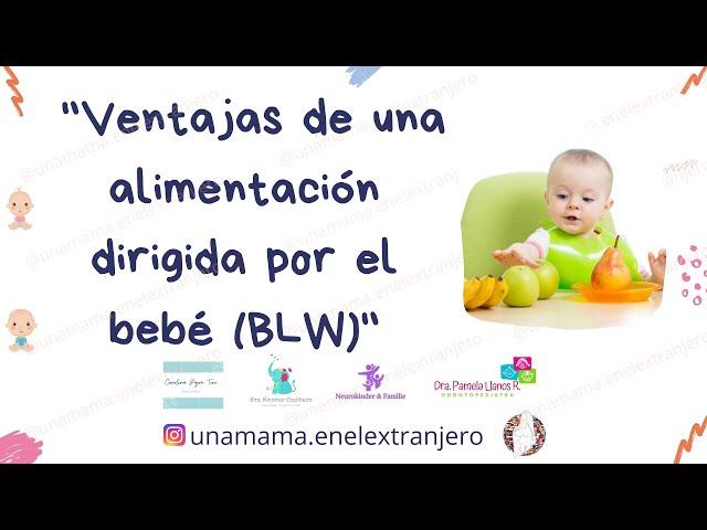 Ventajas de la alimentación dirigida por el bebé (blw)