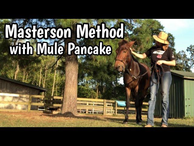 Masterson Method With Mule Pancake - Bladder Meridian Technique