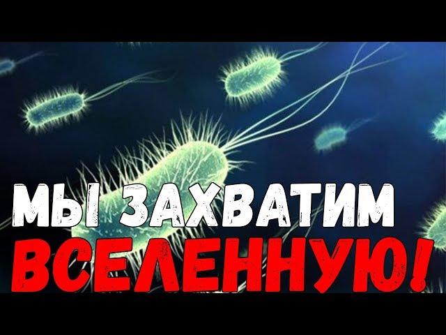 СИМУЛЯТОР БАКТЕРИИ! 2018