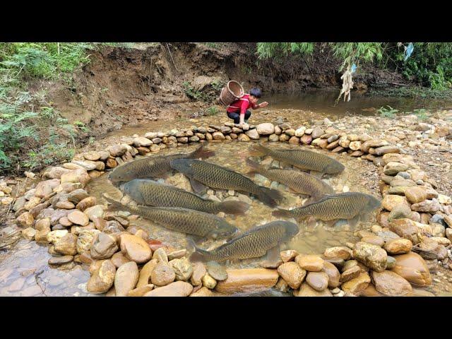 The boy arranged stones into a trap and caught many big fish in the trap. | wandering boy