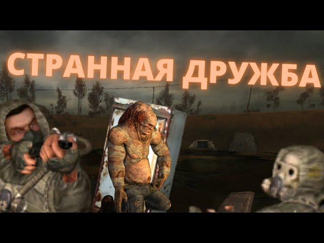 Странная ДРУЖБА - S.T.A.L.K.E.R. ВОЗВРАЩЕНИЕ В ЗОНУ № 12