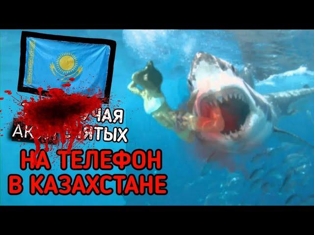 НАПАДЕНИЕ АКУЛЫ В КАЗАХСТАНЕ!!! РЕАЛЬНЫЕ СЛУЧАИ СНЯТЫХ НА КАМЕРУ хлеб