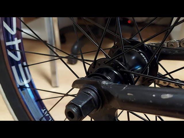 BSD Revolution freecoaster hub sound