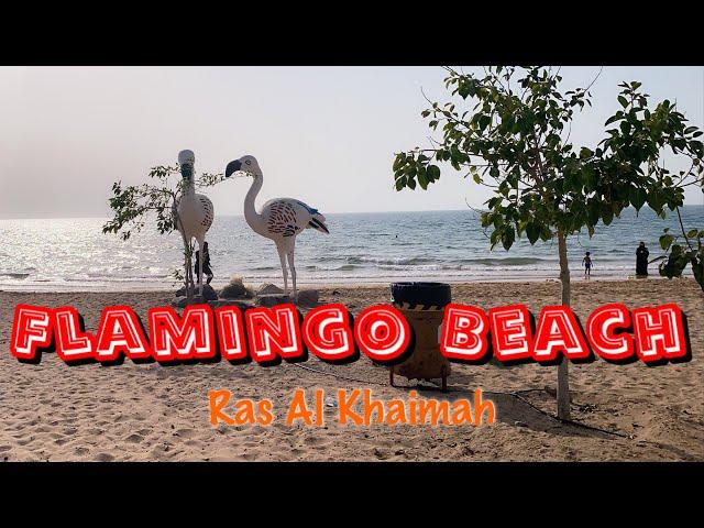 FLAMINGO BEACH in Ras Al Khaimah || Summer Getaway in UAE