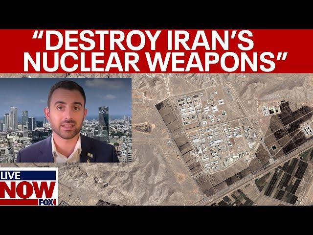 Iran-Israel attack: Eylon Levy discusses Iranian weapons | LiveNOW from FOX