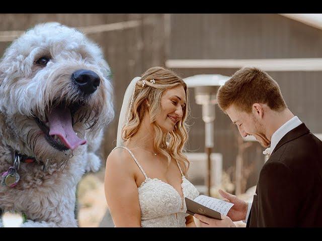 OUR WEDDING VIDEO!!! *Vows to a 2 year old dog*