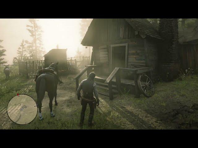 Эта Бабуля Прятала самое лучшее  оружие в игре - RDR2