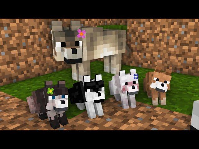 Wolf Life 1: Wolf And His Family - Minecraft Animation