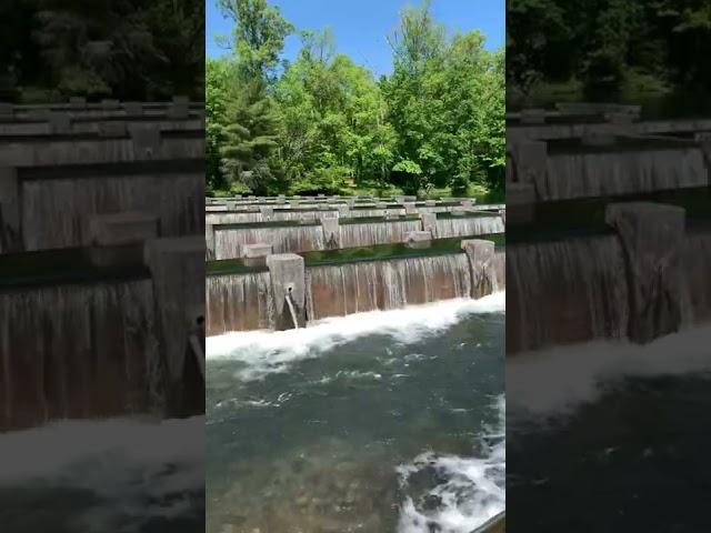 Osceola Island Weir Dam - Bristol, TN