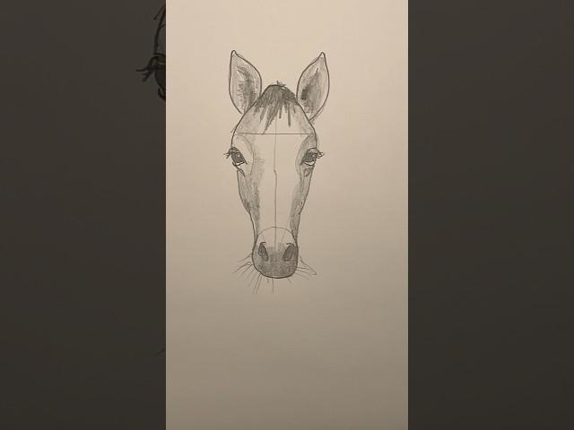 Draw a horse  Easy drawing lesson for beginners on how to draw a horse #drawinglesson #howtodraw