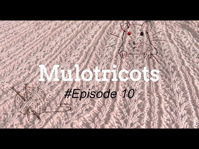 Mulotricots Episode #10